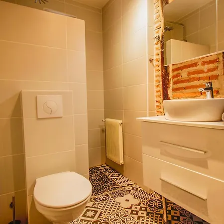 Entre Tarn Et Cathedrale Holiday home Albi